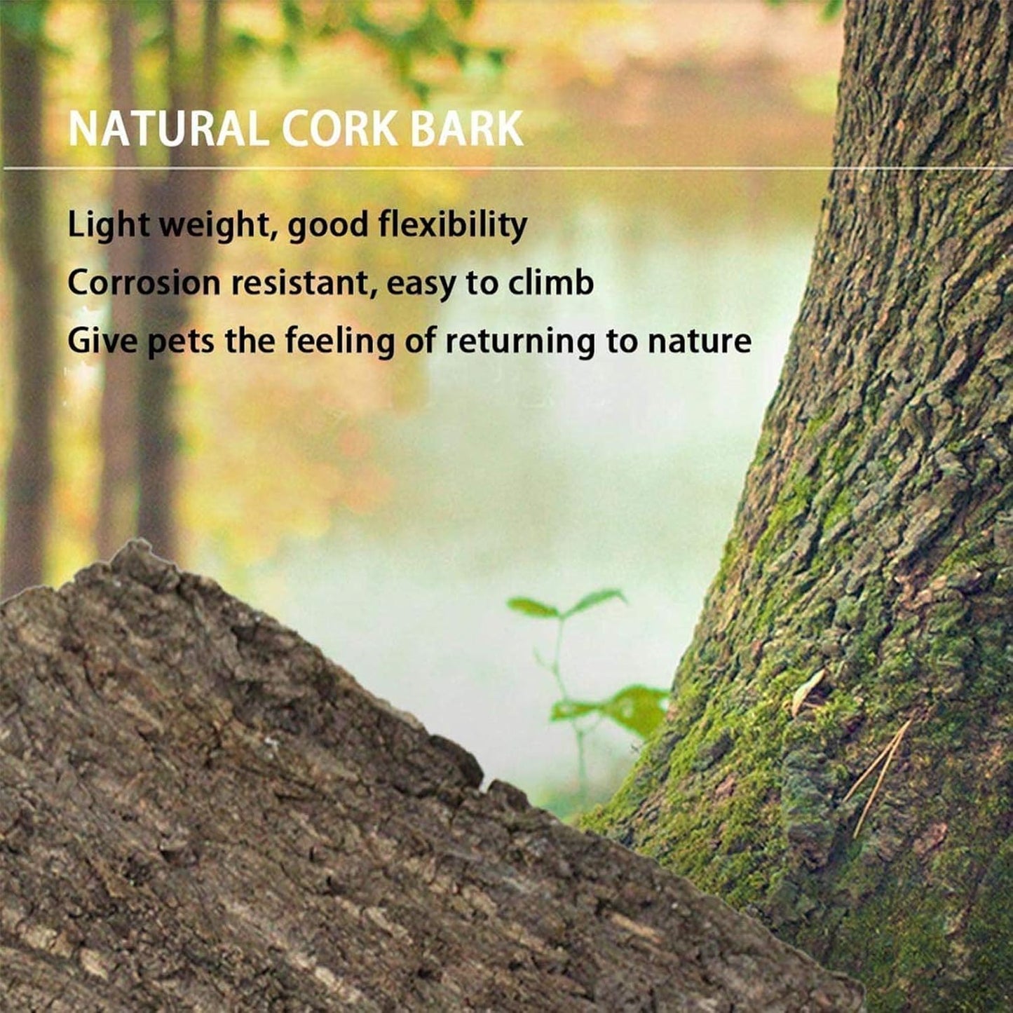 2PCS Cork Terrarium Background 15.7x11.8in Natural Cork Large Bark Backdrop Reptile Climbing Mat Habitat Decor for Spider Lizard Chamelon Turtle Beared Dragon - Pet Explorer