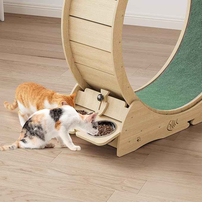 Cat Running Wheel for Indoor Cats, Large 6-in-1 Cat Treadmill with Bowls, Scratch Post & Resting House, Quiet Cats Wheel Exerciser for Kitty Fitness Wood Color