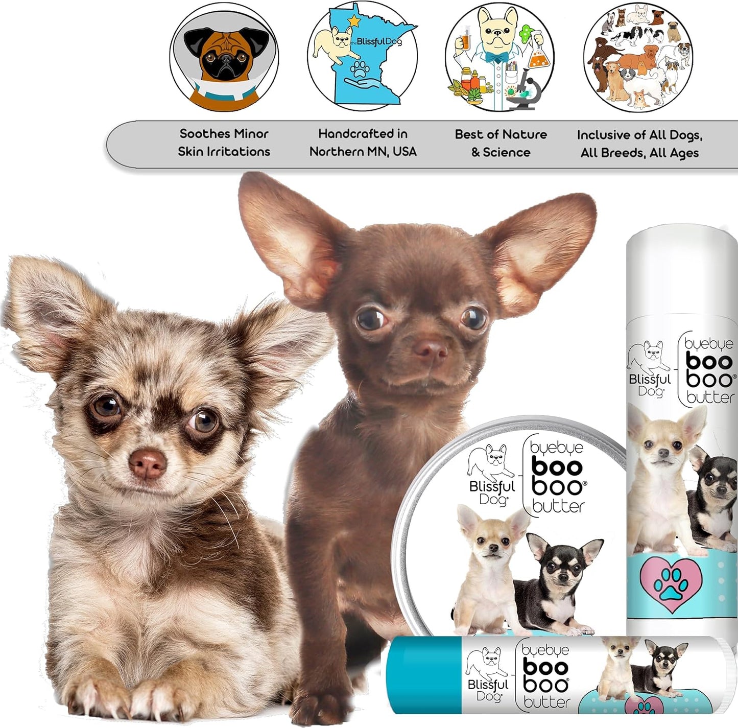 The Blissful Dog 8 oz TIN Chihuahua Booboo Butter - Pet Explorer