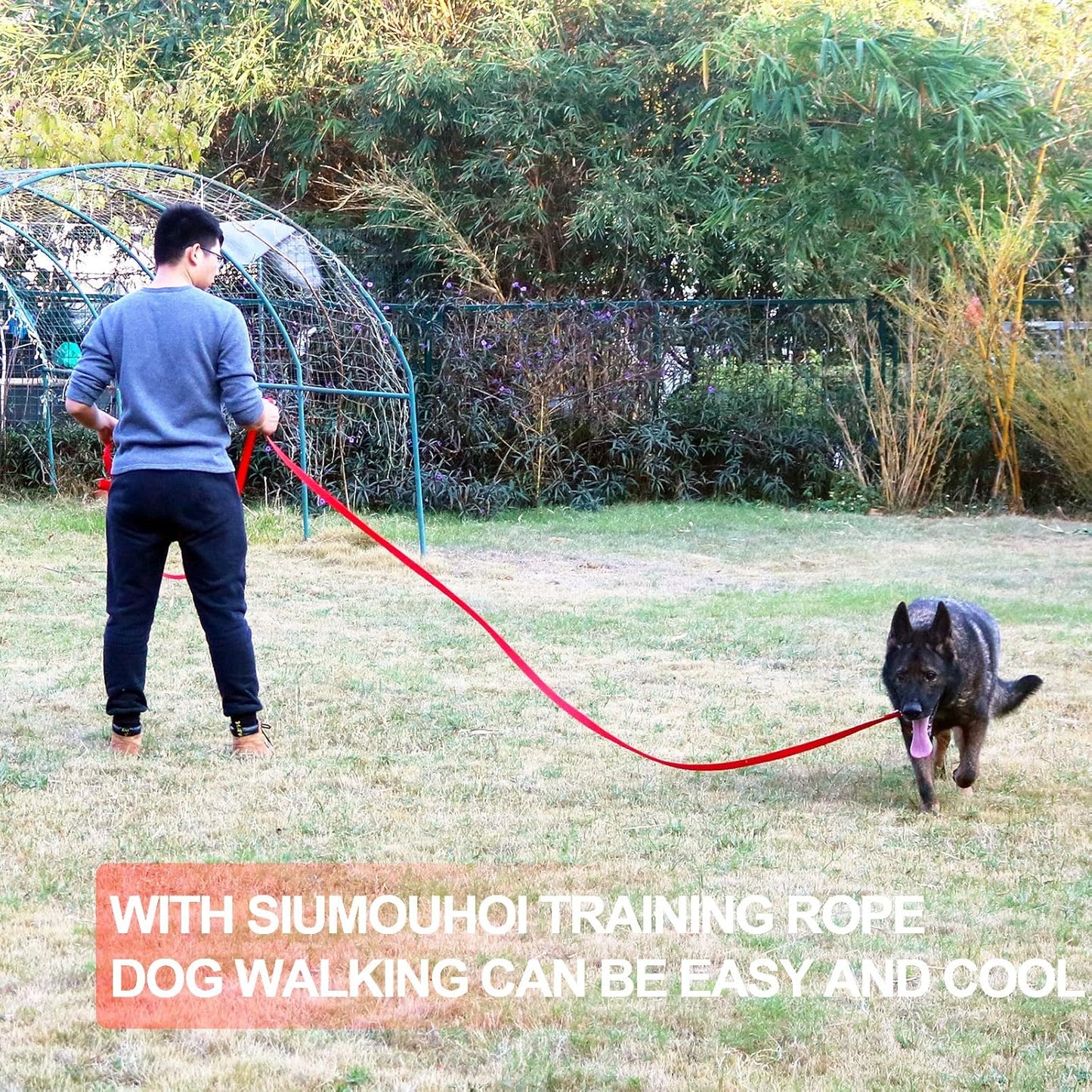 Dog/Puppy Obedience Recall Training Agility Lead - 15ft Long Training Leash,3/4in Wide - Great for Play, Camping, or Backyard (15Feet, Purple)
