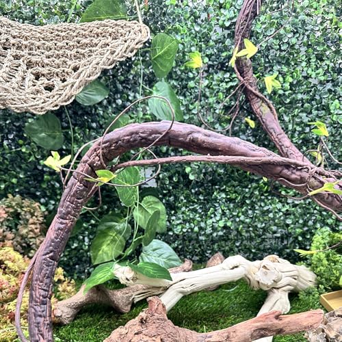 Extra Large Reptile Vines Thick Terrarium Plants 78 Inches Long Flexible Climbing Branch with Leaves Snake Tank Accessories Greenery Habitat Decor for Bearded Dragon Chameleon Gecko Lizard (Black Reptile Vines (Lengh:78" Dia: 1.2 In))