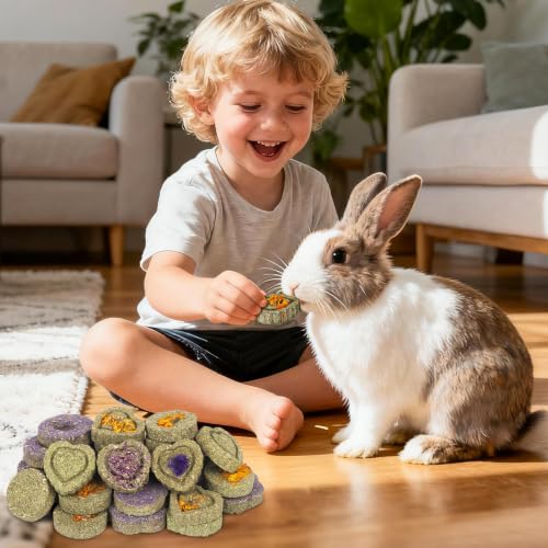 30PCS Guinea Pig Hay Grass Cake Food Set Natural Rabbit Chew Toys for Teeth (30Pack-grass cake)