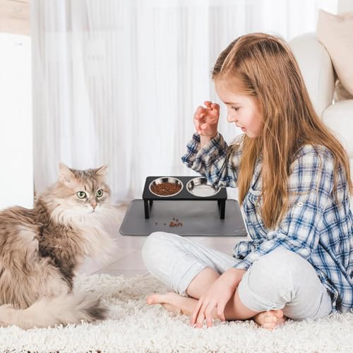 2 Pack Elevated Cat Bowls with Food Mat