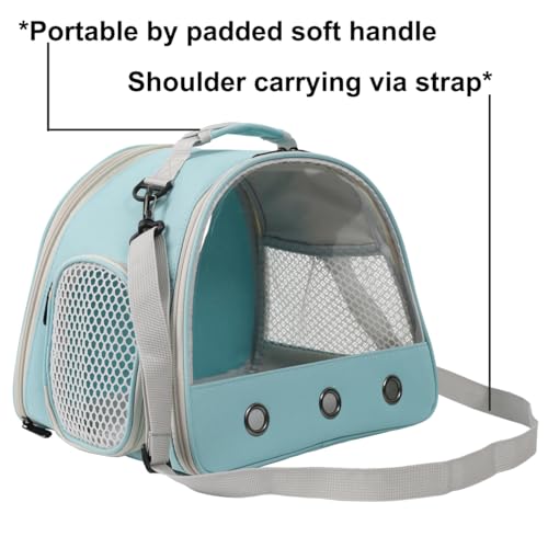 Bearded Dragon Travel Carrier with Absorbent Pad Set (Blue)
