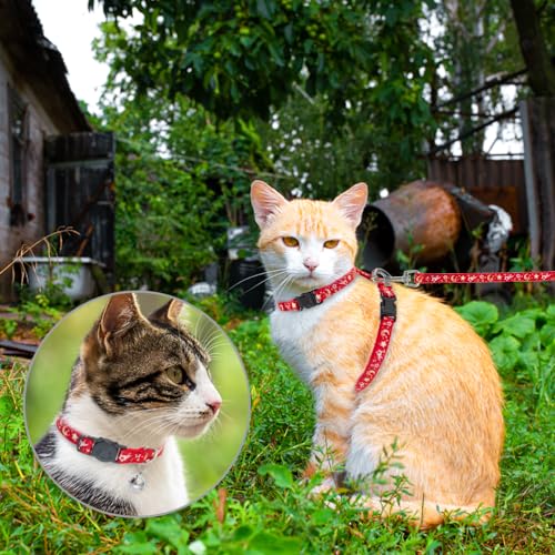 Cat Harness with Leash and Collar Set (Small / Red)