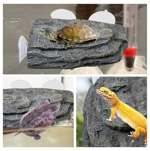 Turtle Basking Platform (Platform)