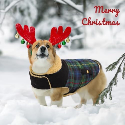 Plaid Dog Winter Coat Quilting Warm Cold Weather Puffer Jacket (Medium / Green Plaid)