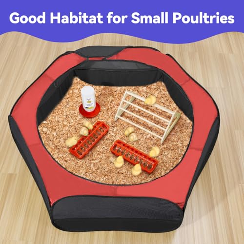 Chick Brooder Box for Chick Starter Kit (Z-Red+Black)