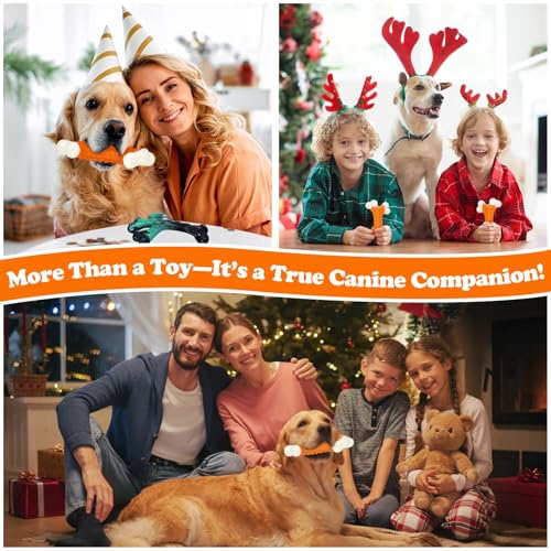 10 Pack Dog Chew Toys (10PC-Peanut Butter-Orange)
