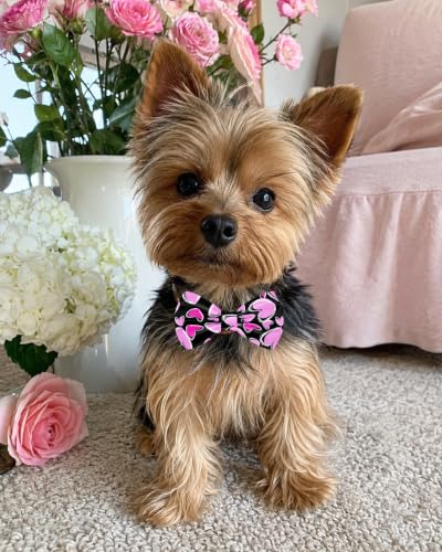 10 Pack Daily Dog Bowties for Small Dogs Sliding on Collar (S/M)