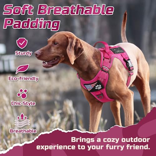 Tactical Dog Harness for Small (Rose Red / Small)