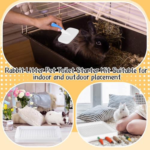 19 Pcs Rabbit Starter Kit Small Bunny Litter Box Animal Grooming Kit Water Bottle Bunny Toys Hay Feeder Bowl Blankets with Cleaning Set for Guinea Pig Rabbit Accessories (White / Strawberry Bear)
