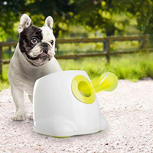 Dog Tennis Balls for Dogs (2 Inch)