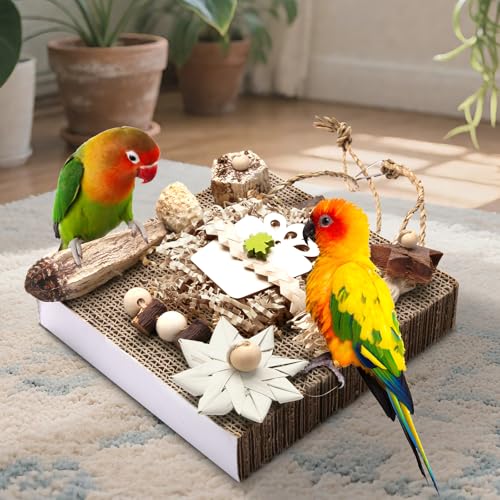 Bird Toys Parakeet Toys (Large)