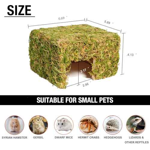 Hamster Hideout (Square, Large)