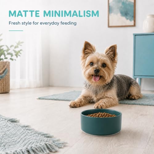 Ceramic Dog Bowls (Matte Dark Green)