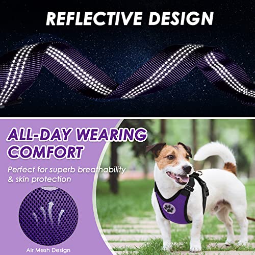 Dog Car Harness Seat Belt (XXX-Small / Purple)