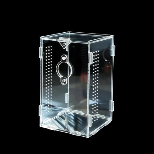 Acrylic Jumping Spider Enclosure (A2)