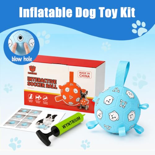 Dog Soccer Ball with Straps (Pale Blue / Medium-6 Inch)
