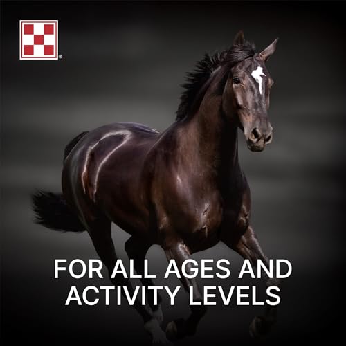 Amplify Equine (One Size)