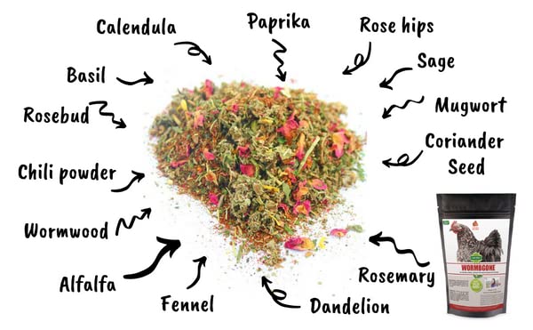 Non GMO Backyard Chicken Nesting Herbs (10 Ounce (Pack of 1))