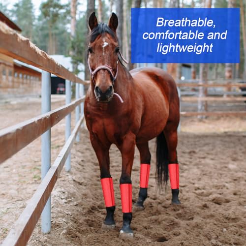 8 Pcs UV Mesh Horse Fly Boots (Red, Rose Red)