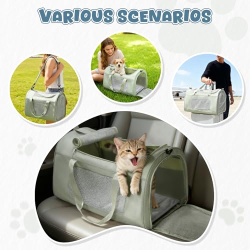Extra Large Cat Carrying Case Pet Dog Carrier Soft (Mint Green)