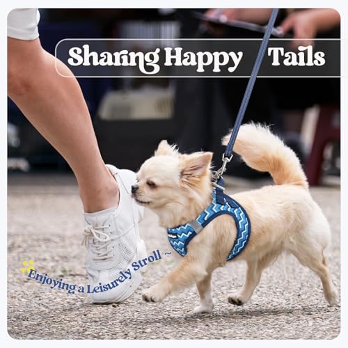Dog Harness Small Sized and Leash Set (Blue Zigzag / Xs (chest: 13.3 - 15.5"))