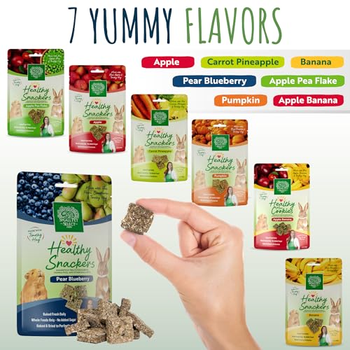 Healthy Snacker (2 Ounce (Pack of 1))