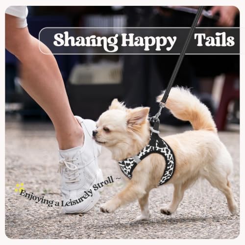 Dog Harness Small Sized and Leash Set (Black White Cow / S (chest: 15.1 - 16.5"))