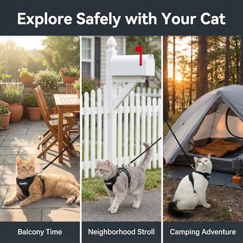 2 Pack Escape (Black / XS)