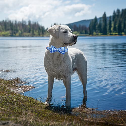 Dog Collar with Bow (Blue Plaid / X-Small (Pack of 1))