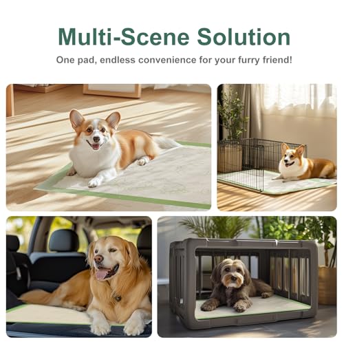 Dog Pee Pads with Adhesive Strips 50Count (19" x 30" (50 Ct))