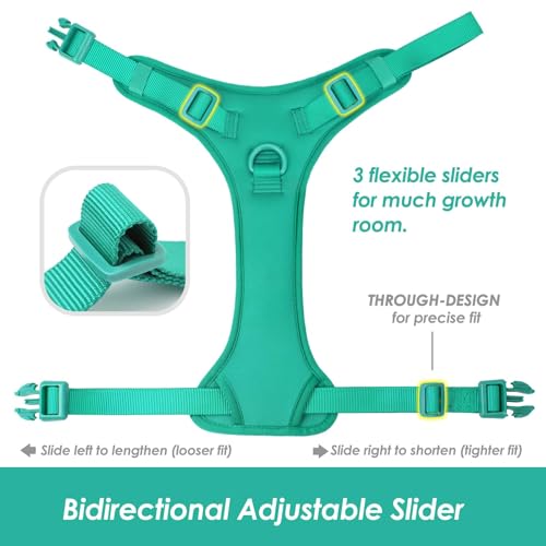 No Pull Dog Harness for Medium Sized Dogs Puppy Vest No Choke (MARRS Green / M(Neck:18.5-25.6", Chest:20.9-30.7"))
