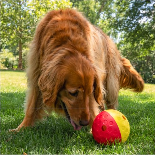 Nina Ottosson Treat Tumble Dog Toy Puzzle Ball (1 Count (Pack of 1))