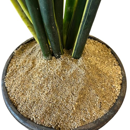 Horticultural Coarse Desert Sand for Plants (Coarse Sand / 4 Quarts)