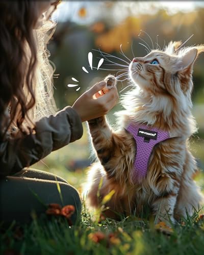Cat Harness and Leash Set (Modern Violet / XL(Chest 14-16"))