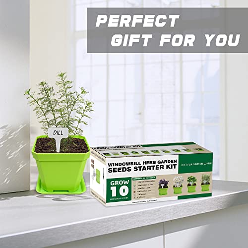 10 Herb Seeds Garden Starter Grow Kit with Green Pots (green)