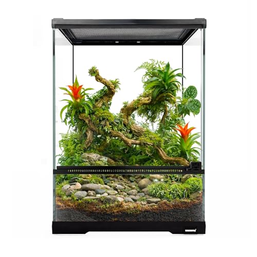 Reptile Glass Terrarium Tank 10 * 10 * 14in (10x10x14 inch)