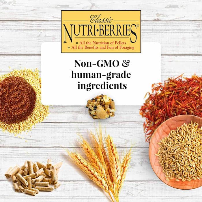 Classic Nutri