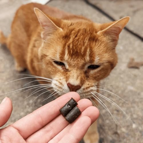 Calm Cat Soft Chews with Organic Hemp (60 Count (Pack of 1))