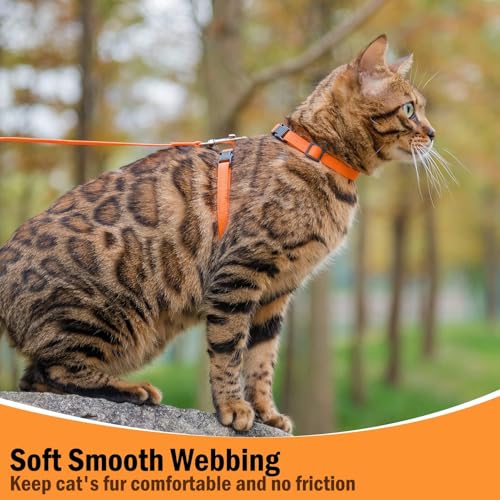 Adjustable Cat Harness and Leash Set Escape Proof Kitten Strap Collar for Walking Travel (Medium / Orange)