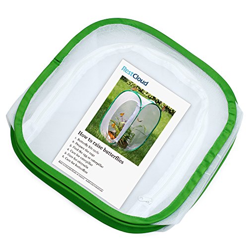 Insect and Butterfly Habitat Cage Terrarium Pop (White With Green / 12 x 12 x 12 inches)