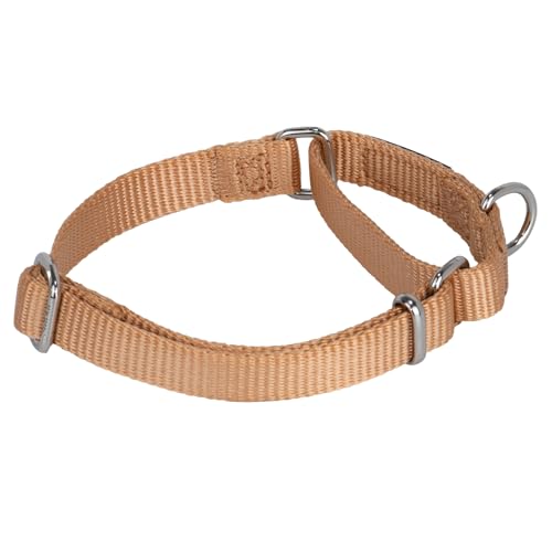 Martingale Dog Collar (Small / Clay)