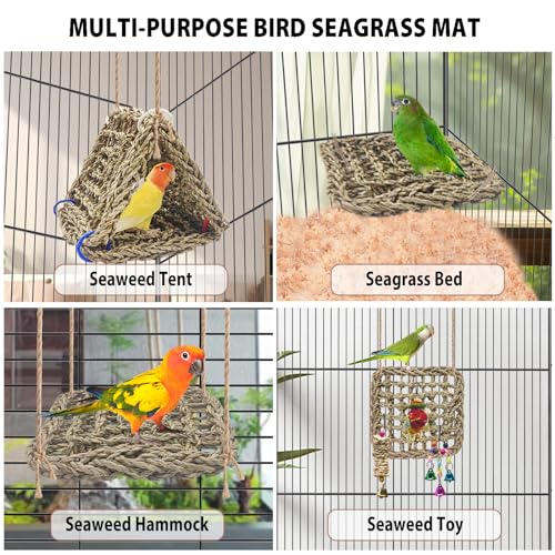 3 PCS Parrot Seagrass Mat
