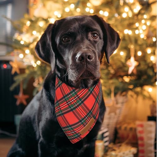 Christmas Dog Bandanas 2 Pack (Christmas / Large)