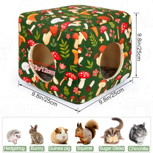 Guinea Pig Hideout (Green Mushroom)