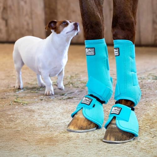 Expression Protective Horse Boots (Turquoise / Medium)