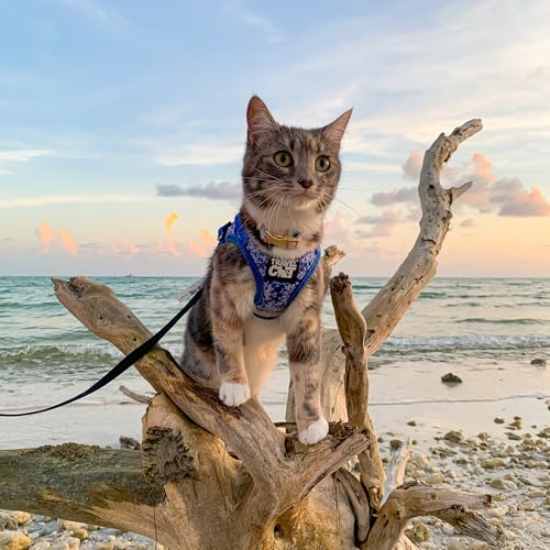 Travel Cat Harness and Leash Set (Small / Groovy Cat)