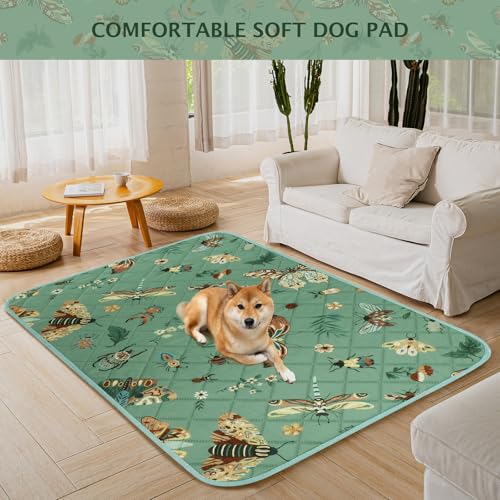 Washable Pee Pads for Dogs (Green / 24x24 inch - 2pcs)